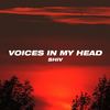 Voices In My Head - Shiv