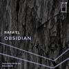 Obsidian (Enlusion Remix) - Rafa'EL
