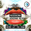 Never Let You Down ft Nikisha Reyes (Original Mix) - AccessJak&Nikisha Reyes