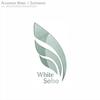 Superwave (Waldhorn & Nkoder Remix) - Alex Boboc