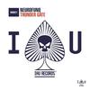 Thunder Gate (Original Mix) - Neurofunq