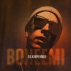 Boheemi - Silkinpehmee&DJ Massimo