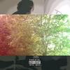 Lion in tha Leaves (Explicit) - Davu