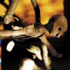 Termite Song - Joseph Arthur