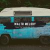 Music What Sounds After Death - WaltR Melody