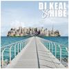 Vague Vision - DJ Keal&Hibe&Sic Shane