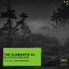 Imprisoned Soul (Original Mix) - BruceDeeperSa&The Elemantic DJ