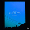 Want To Feel (Alex David Remix) - Alex Kislov&Alex David