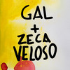 Nenhuma Dor - Gal Costa&Zeca Veloso&Caetano Veloso&Torquato Neto