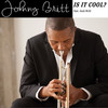 Is It Cool? (feat. Josh Britt) - Johnny Britt