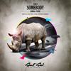 Somebody (Original Mix) - Animal Picnic