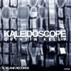 Kaleidoscope - Quintin Kelly