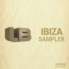 Love 4 House (Original Mix) - The LEX EFX Project&Soul T