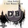 I Just Wanna Know (Original Mix) - Adam Hubbard