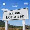 Ba Ise Lobatse (Explicit) - Gully Bois&Dlozinyana Music&Walehipi