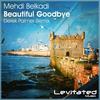 Beautiful Goodbye (Derek Palmer Radio Edit) - Mehdi Belkadi