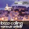 African Force (Rub A Dub) - Franklin Rodriques