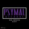 Riff (Original Mix) - Mr Spook