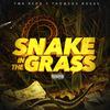 Snake in the Grass (feat. Thoweda Rosas) (Explicit) - YMR Redd&Thoweda Rosas