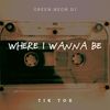 Where I Wanna Be I Really Don't Mean (Tik Tok) - Green Neon DJ