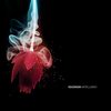 Snap, Crackle & Poppers (Original Mix) - Headroom (SA)&Danalog