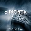 Chronik (feat. Omegy) - NzumQ&Omegy