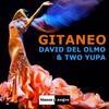 Gitaneo (Radio Edit) - David del Olmo&Two Yupa