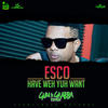 Have Weh Yuh Want - Esco