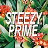 Paradise - Steezy Prime