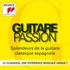 II. Adagio - Julian Bream&John Eliot Gardiner&Michael Winfield&Chamber Orchestra of Europe&Joaquín Rodrigo