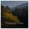 Changing Colors - Mitch Treger and The Emptys