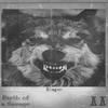 NapoGoCrazy (Explicit) - Napo