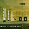 Life in the Walls (Adam Carling Remix) - Squal G