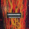 Tripnoinfection (Radio Edit) - Greenmamba