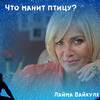 Что манит птицу? - Лайма Вайкуле