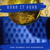 Burn It Down(feat. Bigshooter) - Tony Schwery&Bigshooter