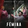 Fémina(feat. Pipe Bega) (Explicit) - Discreto y Lil Jay&Pipe Bega
