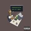 Terminate ft.T$P - KZoo&TSP