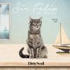 Better Days (Radio Edit) - Sir Felix&Wurld