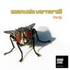 The Fly (Original Mix) - Emanuele Vernarelli