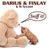 Sniff It (Explicit) - Darius & Finlay&Tk Tycoon