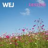 Destiné - Wej