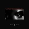 Wonderful - Seekay