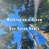 Walking On a Dream (Remix) - Ran Katan