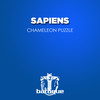 Cloves Story (Jonatan Ramonda Remix) - Sapiens