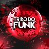 002 Tribo do Funk(feat. Mc Dezoitinho, DJ Vavat, Mc Nandinho, Mc Dezoitinho, Mc Gw & Mc Romântico) (Explicit) - Dj Alfa Mpc&MC Dezoitinho&DJ Vavat&Mc Nandinho&MC GW&Mc Romântico