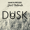 Spirit Molecule (Original Mix) - Name In Process