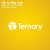 Silence Is Golden (Radio Mix) - LTN&Attila Syah