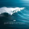 Wavestation - COA