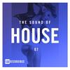 These Feelings (Son of 8 Dub Mix) - Charlie Hedges&Ashton Russell